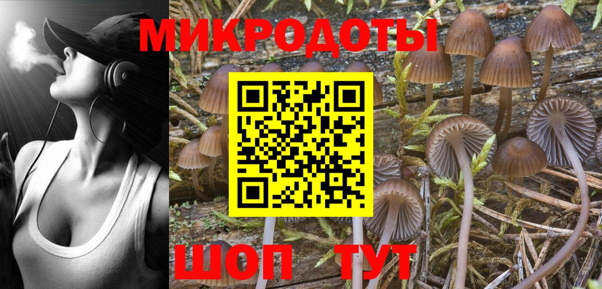 Псилоцибиновые грибы Cubensis Удомля