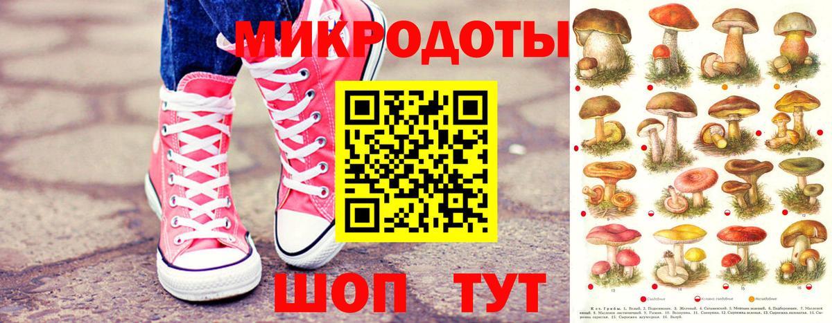 Удомля  Галлюциногенные грибы MAGIC MUSHROOMS  Вход с VPN 